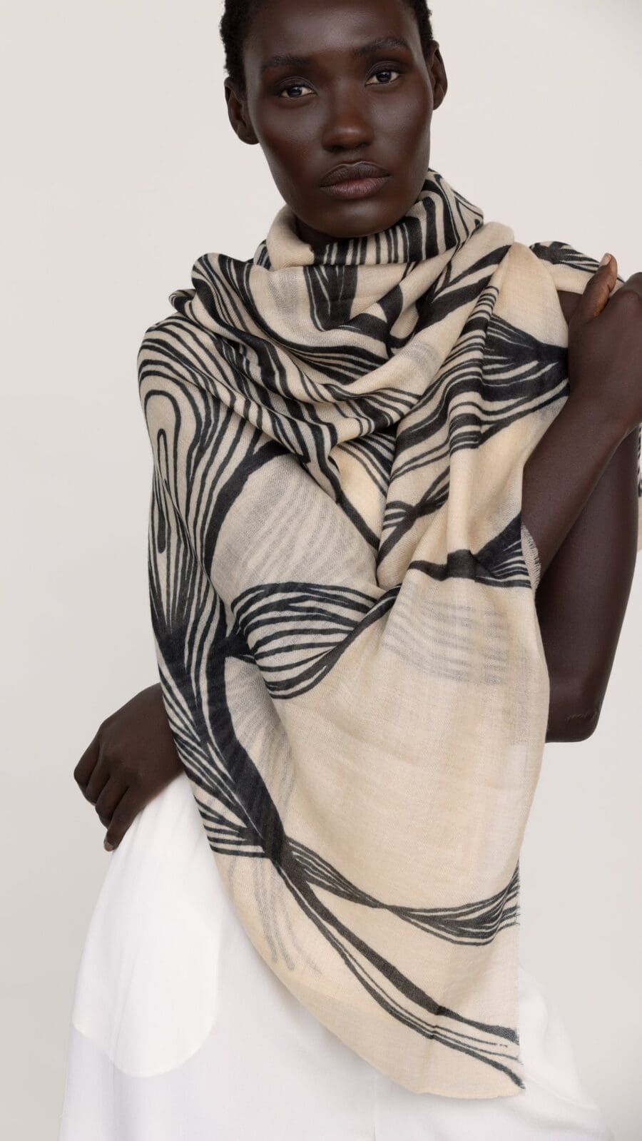 Shop Shwetambari Cashmere Shawls